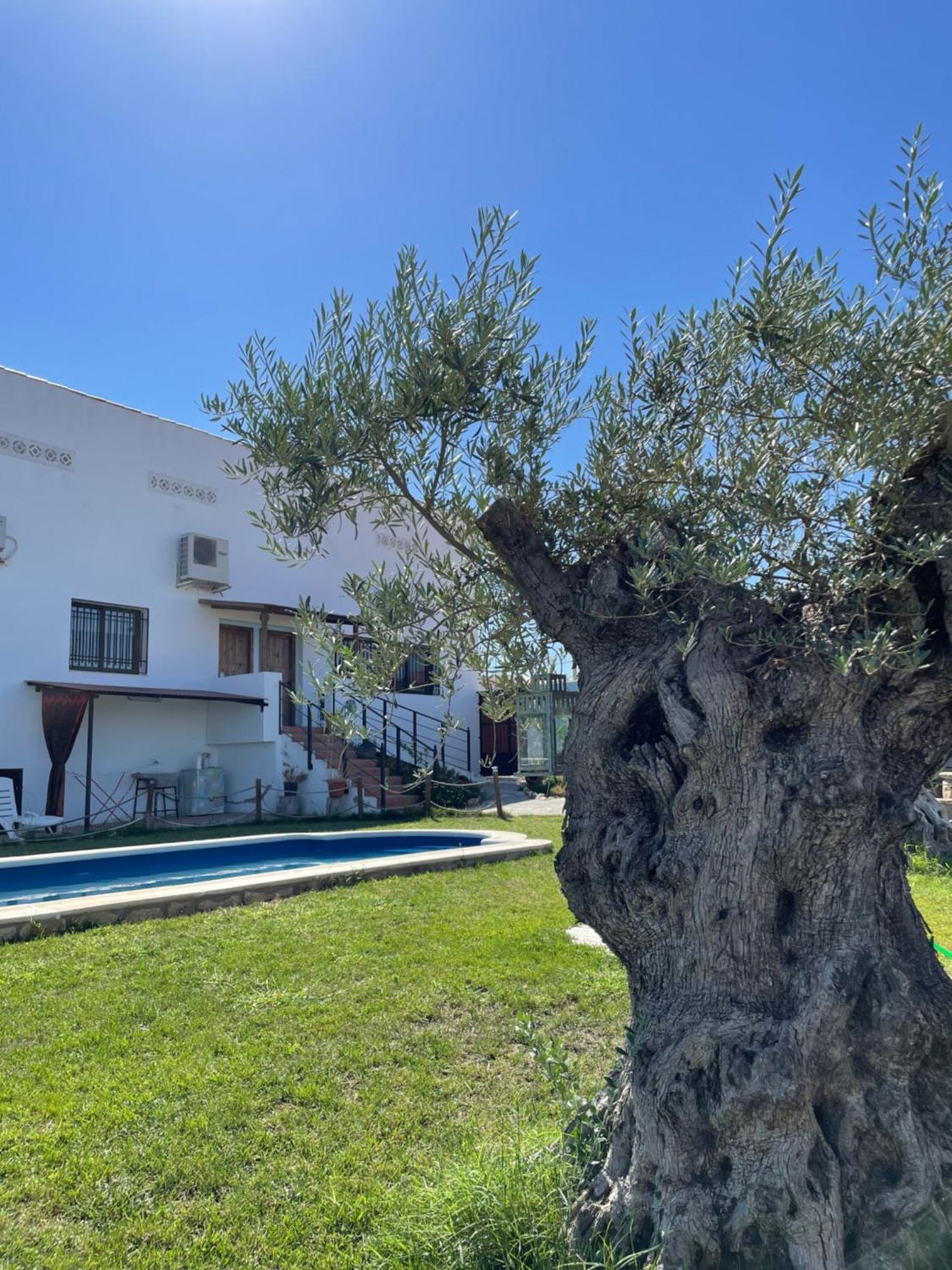 El Campo  Casa Rural El Miajon 빌라 외부 사진