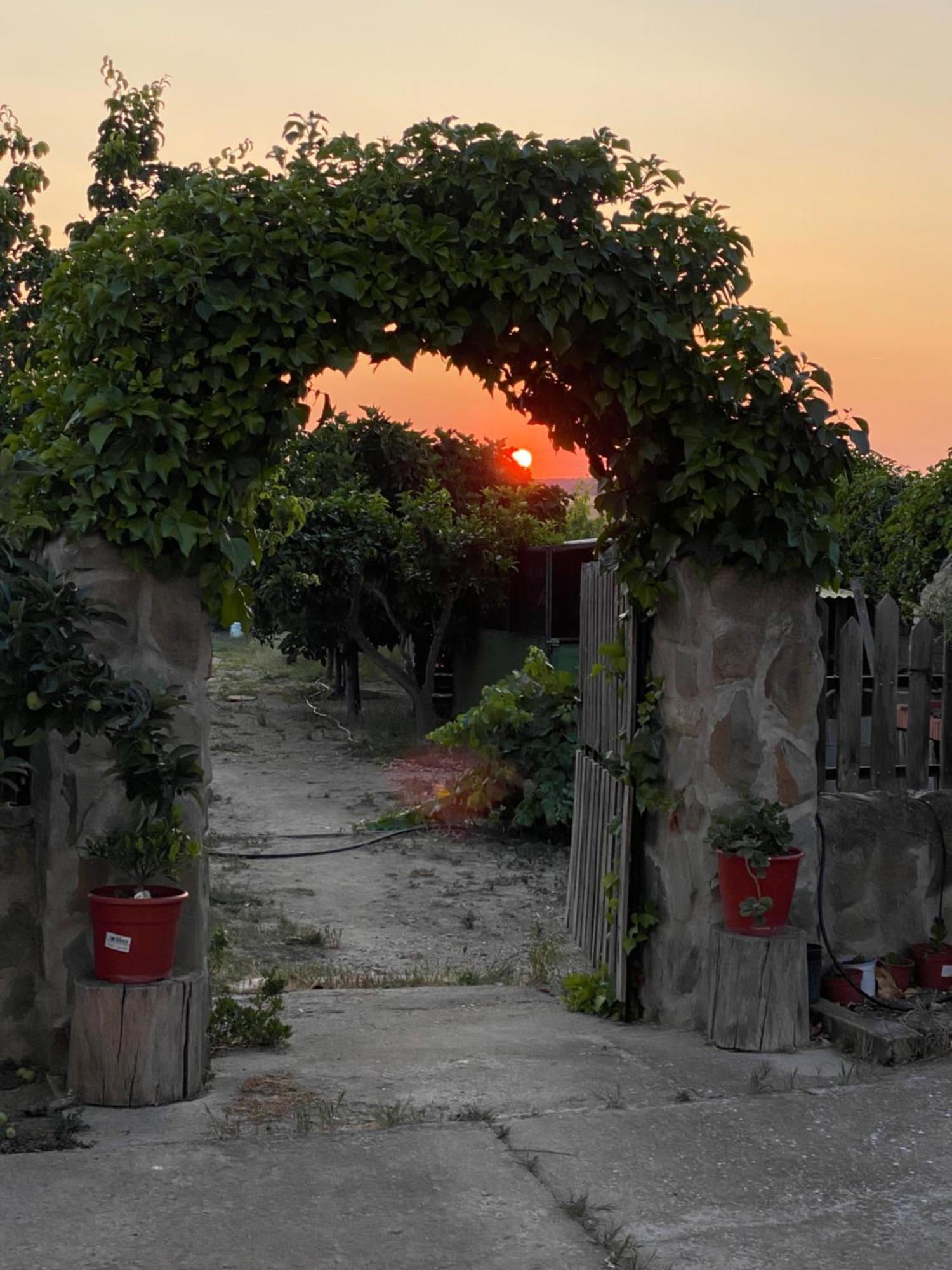 El Campo  Casa Rural El Miajon 빌라 외부 사진